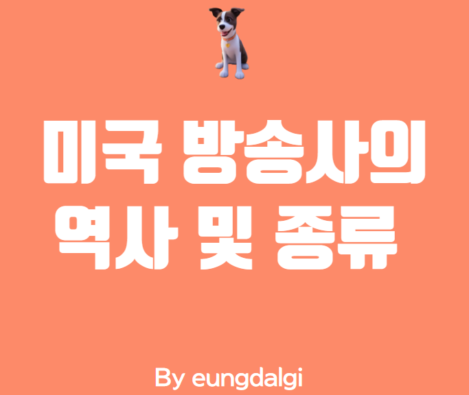  미국 방송사: 알아야 할 모든 것