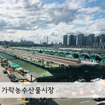 가락동 농수산물시장 홈페이지 바로가기 가락몰_26