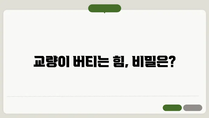 교량의 하중 분배 원리