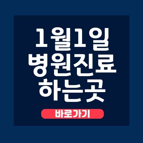  1월 1일 병원 진료하는곳