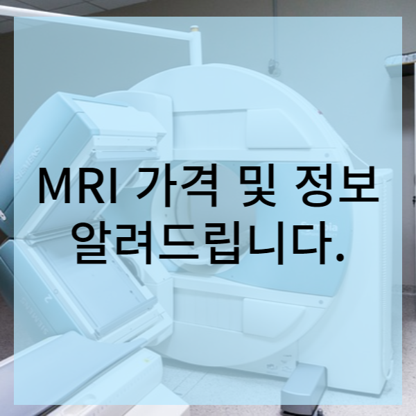 MRI 정보