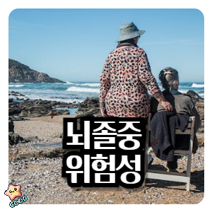 뇌졸중-위험성