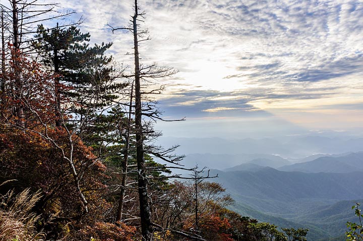 지리산 등산코스 추천