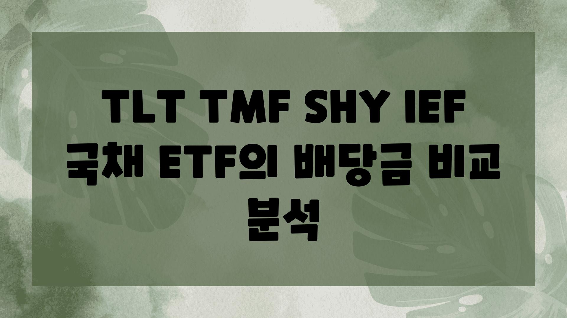 TLT TMF SHY IEF 국채 ETF의 배당금 비교 분석