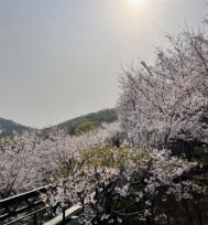 화담숲 예약방법