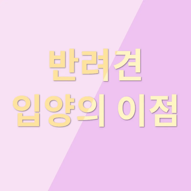 반려견 입양_1