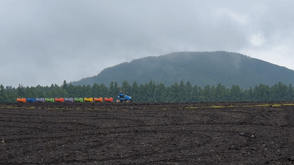 표선 보롬왓 깡통 열차