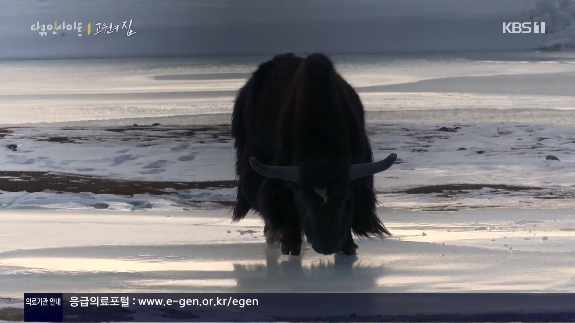 다큐 인사이트.E176.240328p.H264-F1RST.mp4_20240330_162907.700.jpg