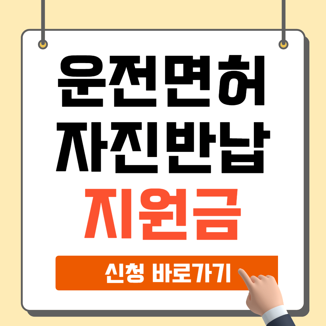 운전면허 자진반납