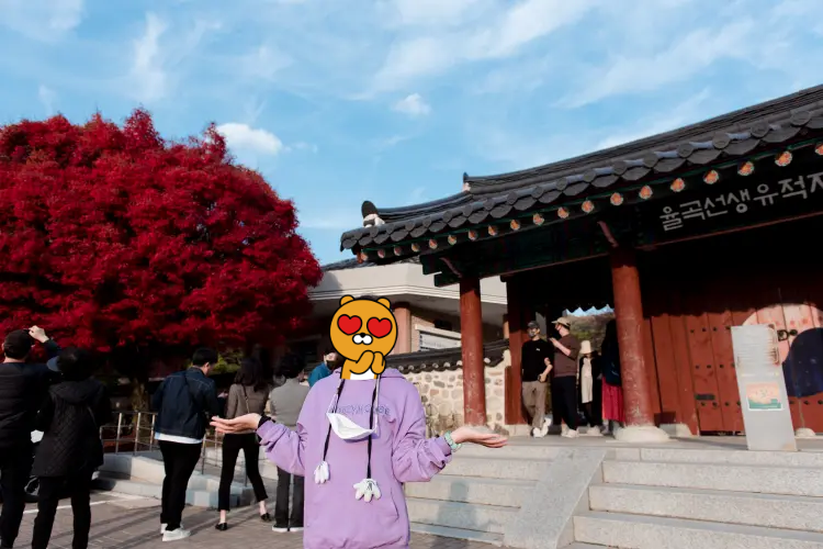 율곡기념관 입구에 들어서면 볼 수 있는 단풍사진