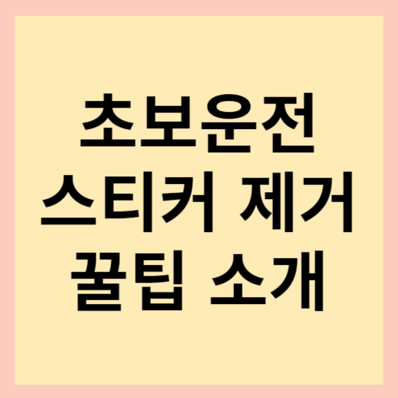  초보운전 스티커 제거 꿀팁. 셀프로 하는 방법 소개해 드려요(feat. 집에 있을법한 아이템 활용)