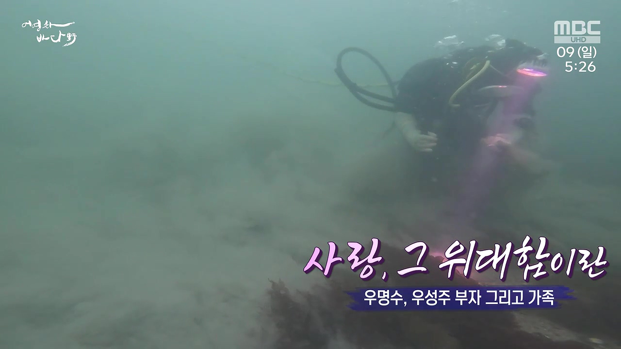 MBC 네트워크 특선 푸른백세 어영차 바다야.E1684.240610p-NEXT.mp4_20240611_202028.656.jpg