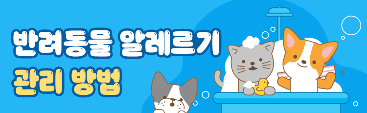  반려동물과 함께 알레르기 관리하기!