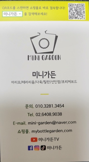 마리모 세트
