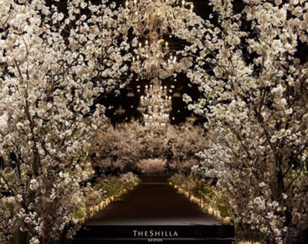 올해 결혼한 사람이 말하는 리얼 물가 ㄷㄷ 85