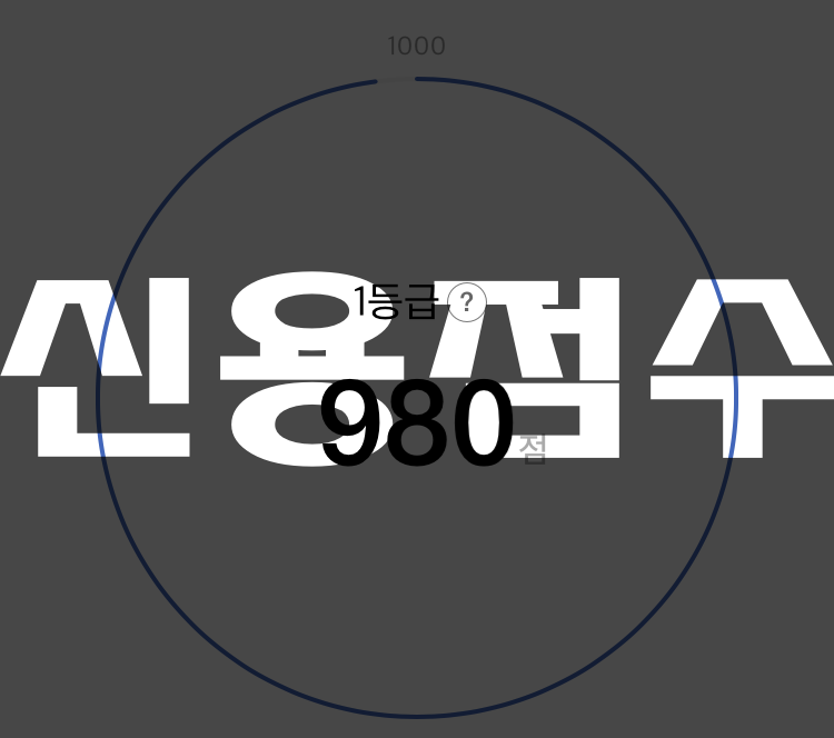  신용등급 신용점수제로 변동, 변경, 전환에 따른 대출 가능 여부 및 대출금리 확인