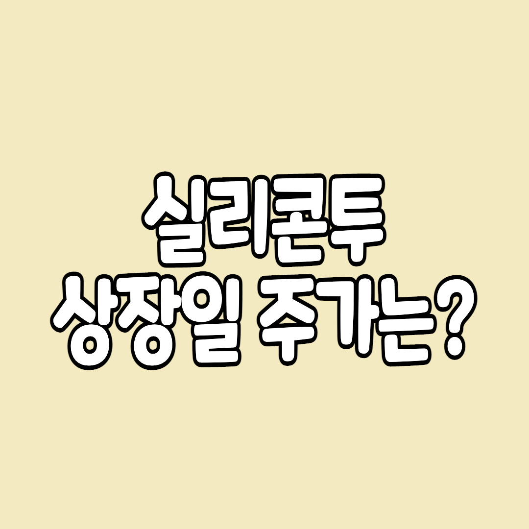  실리콘투 상장일 주가는.. 따상 가능할 까?