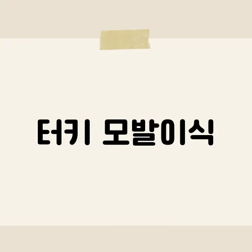 터키 모발이식, 그 효과와 비용에 대한 진실은?