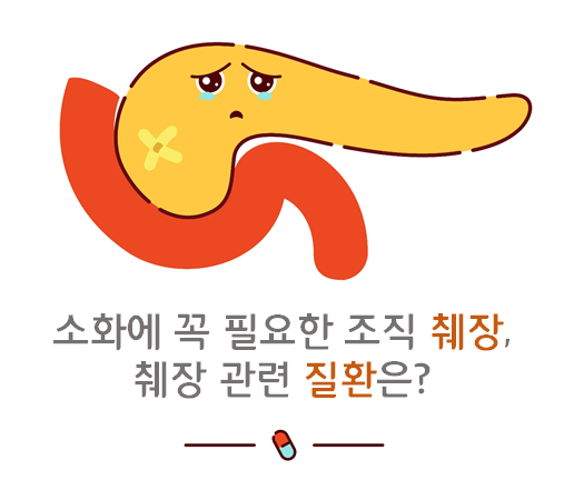  소화에 꼭 필요한 조직 췌장, 췌장 관련 질환은?
