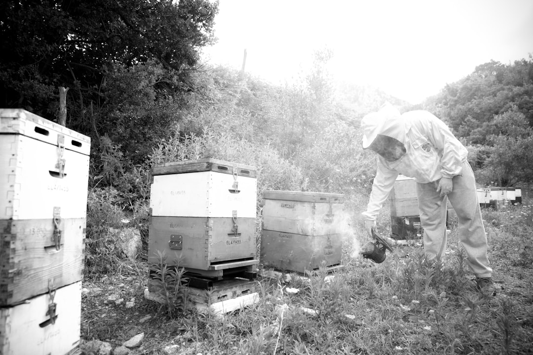 Beekeeping