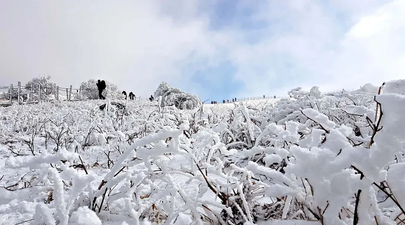 소백산 설경