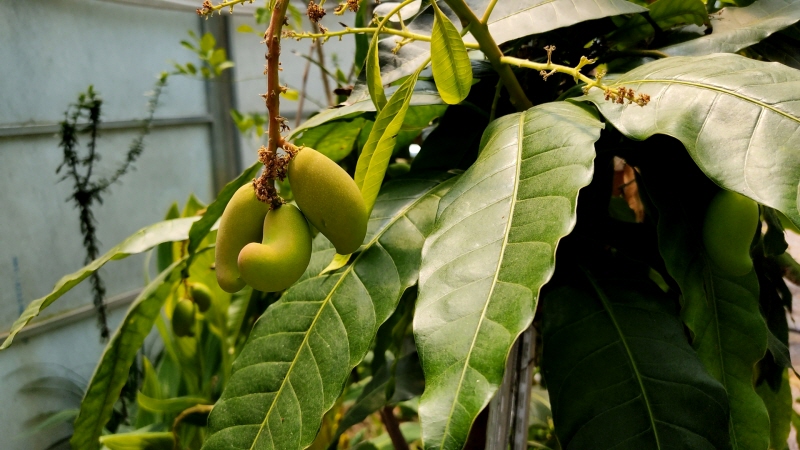 빵공원