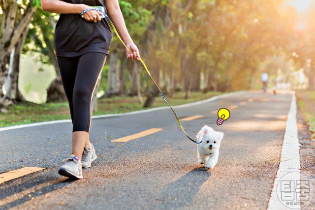 워킹 러닝 조깅 차이,걷기운동 효과,걷기운동후기