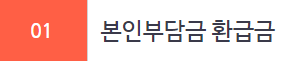난 왜 없어? 국민건강보험환급금조회방법 9