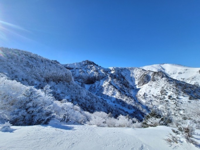 제주도 한라산