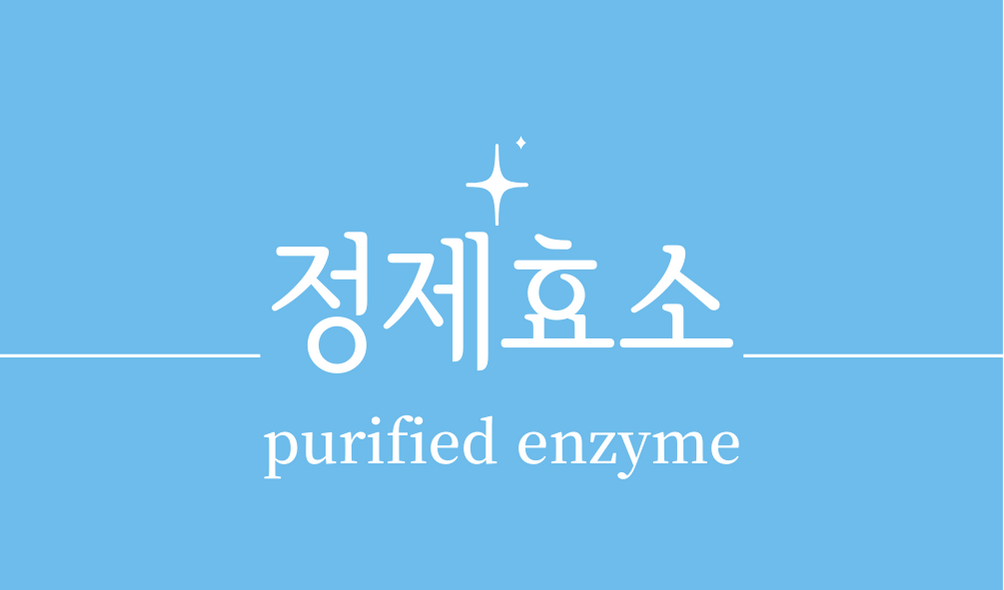 &#39;정제효소(purified enzyme)&#39;