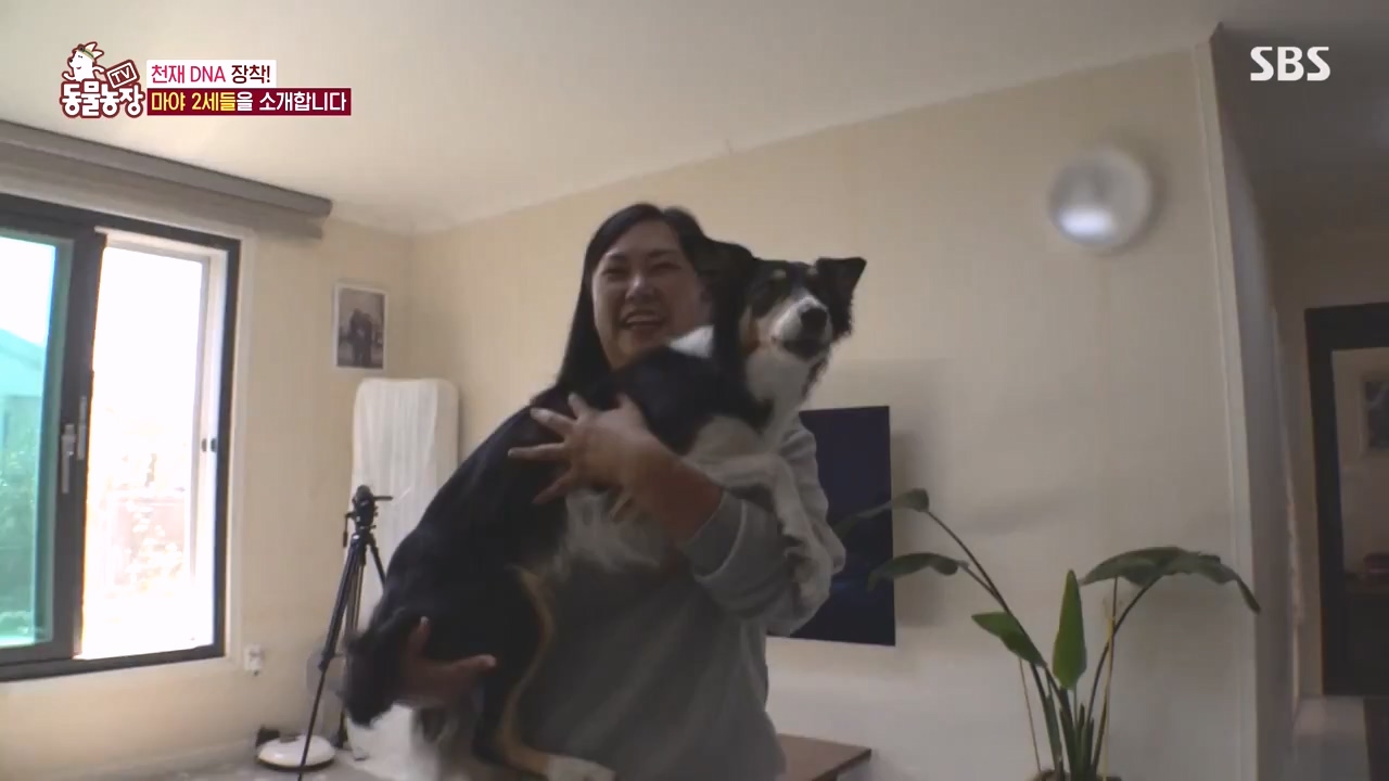 TV 동물농장.E1145.231113p-NEXT.mp4_20231112_173434.814.jpg