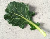 연골에 좋은 음식