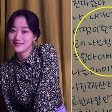  이나은 일기장 공개 친언니 해명