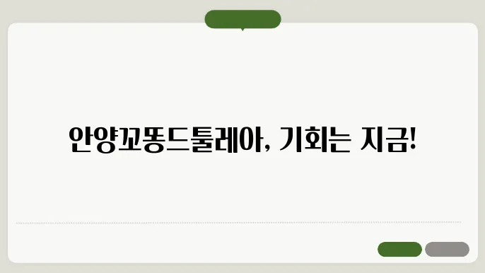 안양쫼뛰안내데
