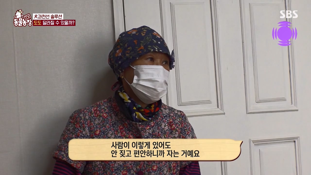 TV 동물농장.E1155.240122p-NEXT.mp4_20240121_145944.494.jpg