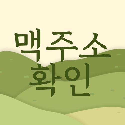 맥주소 확인