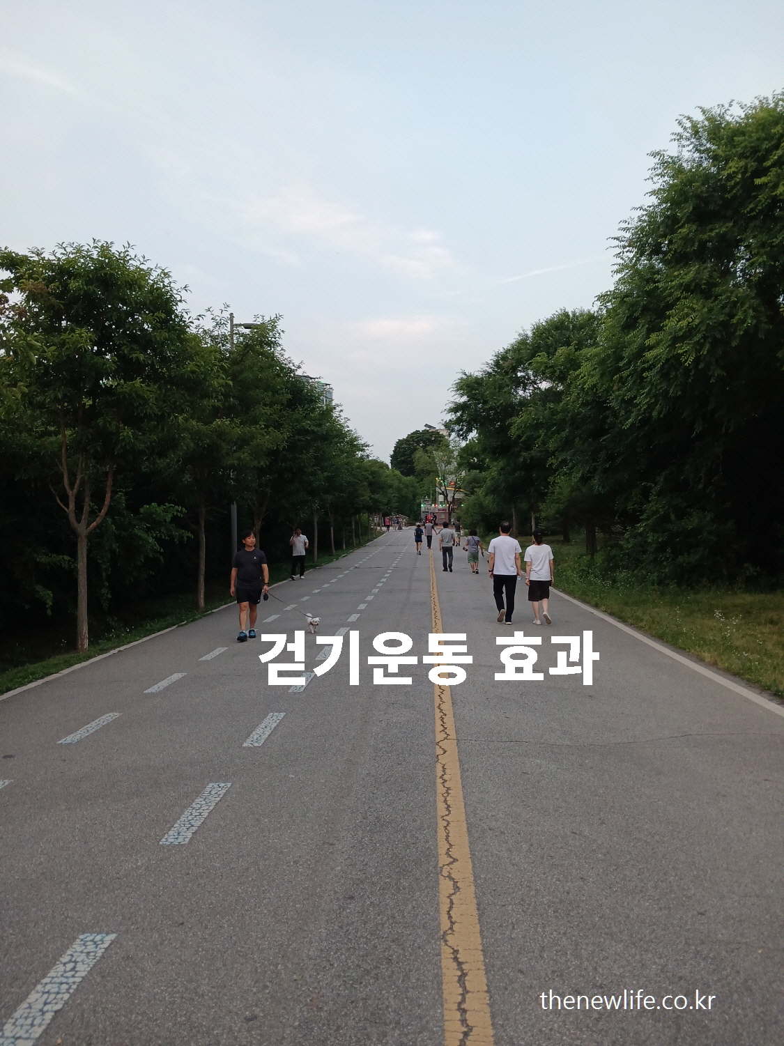 People walking calmly along a wide road at Gwangnaru Hangang Park, enjoying the benefits of walking exercise in nature.-광나루 한강공원에서 걷기 운동을 하는 사람들. 넓은 길 위로 다양한 연령대의 사람들이 걷기 운동을 하며 건강을 챙기고 있는 모습.