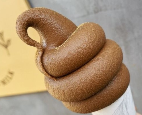 똥 꿈해몽 풀이