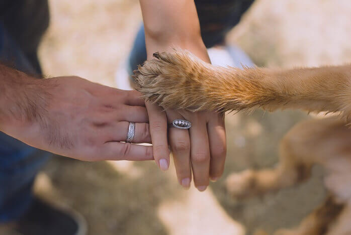 남자 손 위에 여자 손&#44; 그리고 그 위에 갈색 털의 강아지 앞발이 올려져 있는 모습