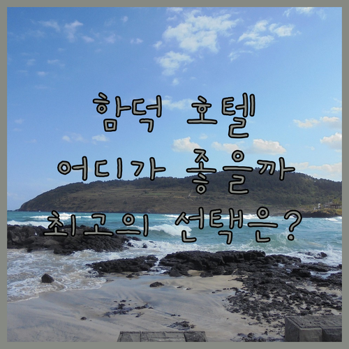 함덕 호텔 완벽 비교 함덕비치스테이제