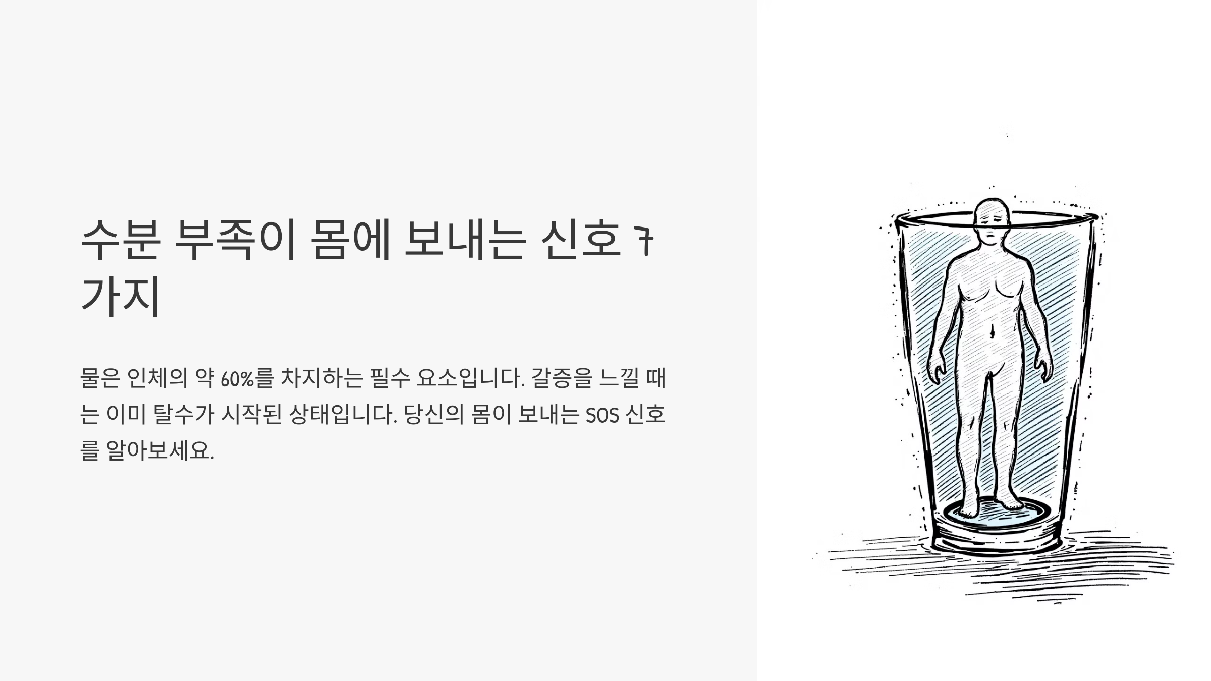물 마시는 시간이 중요하다? 하루 중 최적의 수분 섭취 타이밍