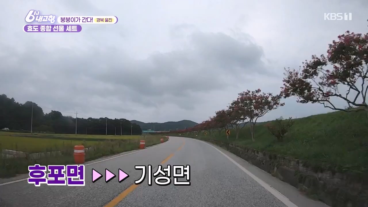 6시 내고향.E7888.230926p-NEXT.mp4_20230926_214723.382.jpg