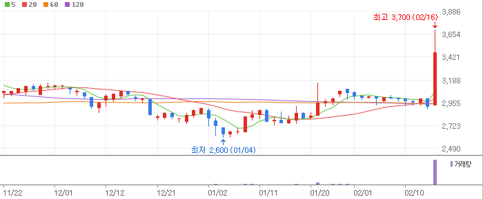 2023.02.16 상한가 종목 분석 8