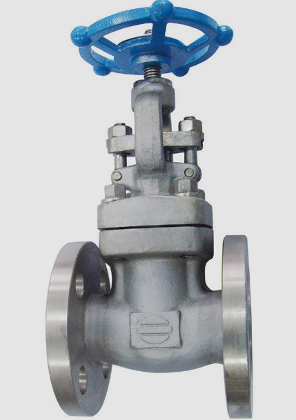  글로브밸브(Globe Valve) - 정밀한 유체 제어와 안정성의 보호막