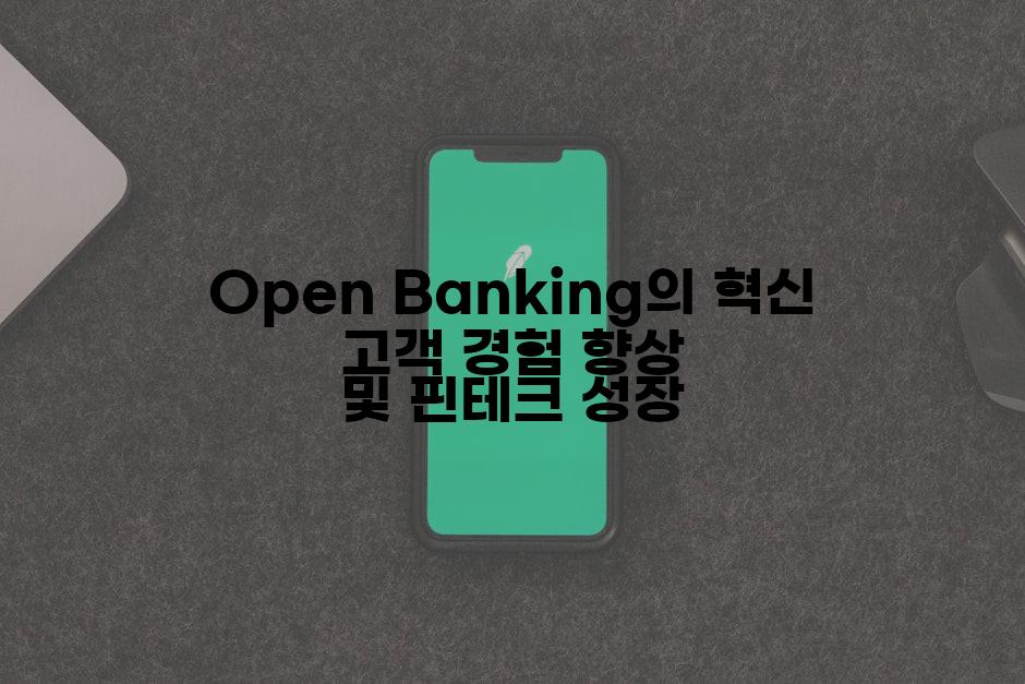 Open Banking의 혁신 고객 경험 향상 및 핀테크 성장
