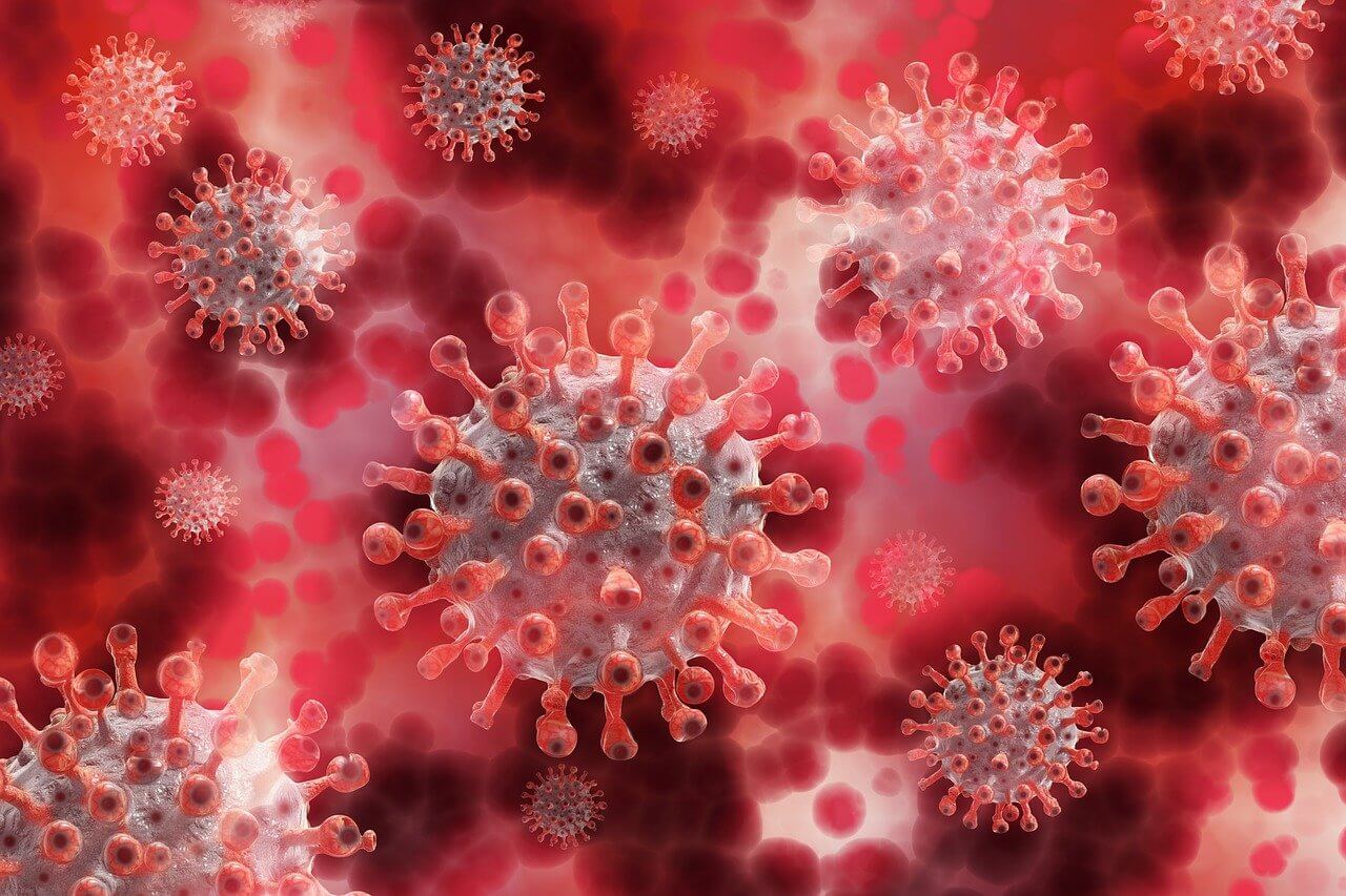 아데노바이러스의 증상 및 전염성에 대해 알아보기