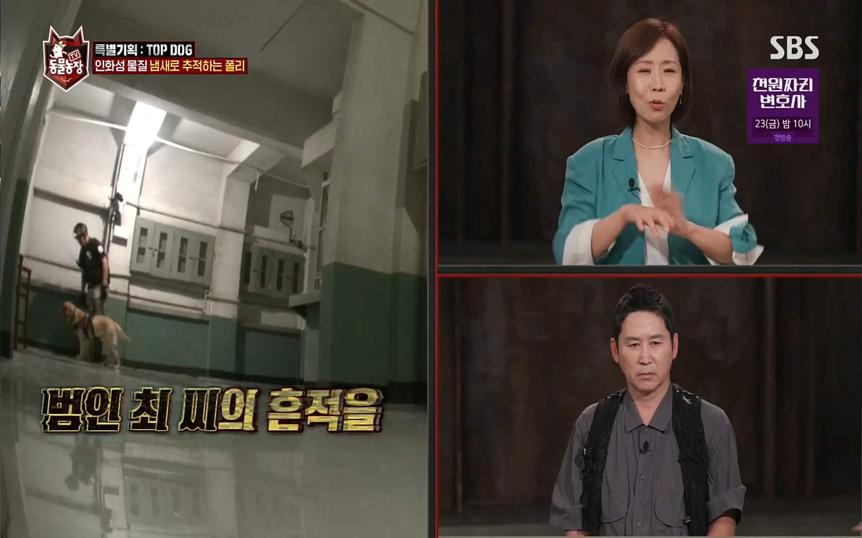 TV 동물농장.E1086.220911p.H264-F1RST.mp4_20220911_175421.200.jpg