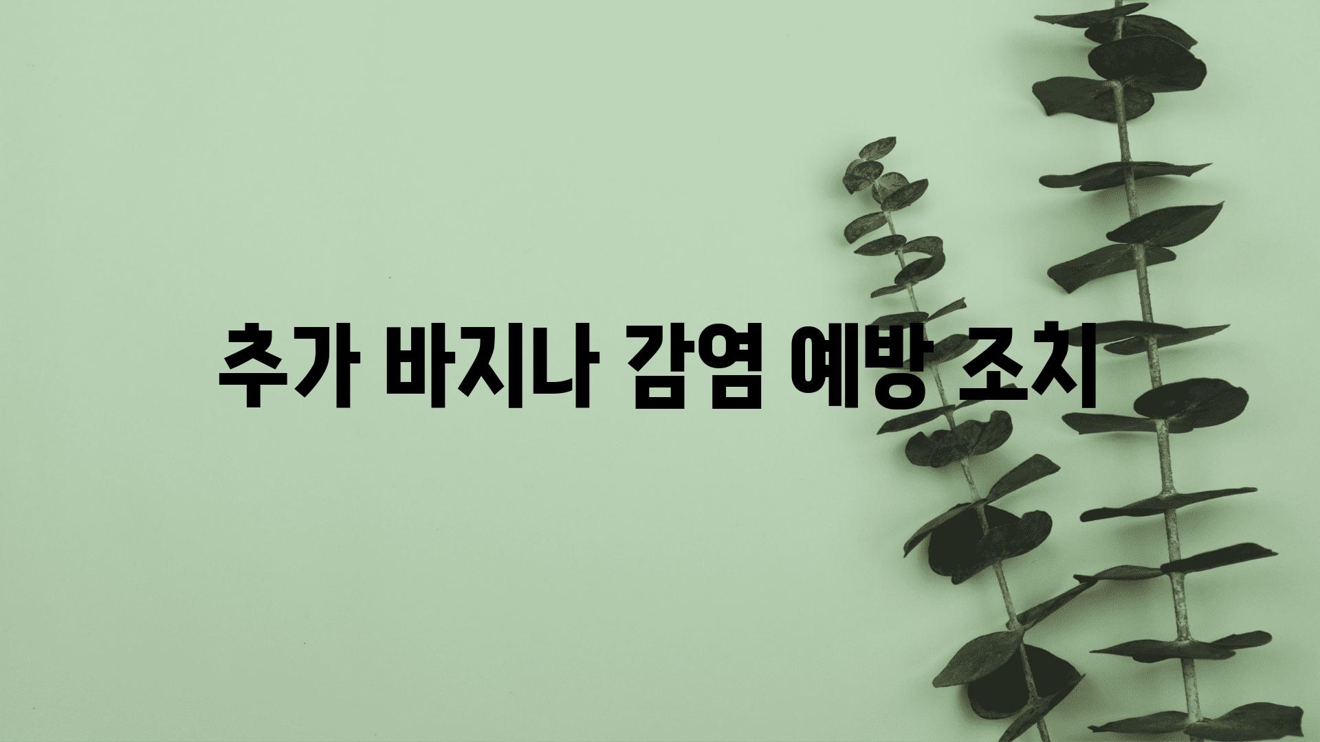 추가 바지나 감염 예방 조치