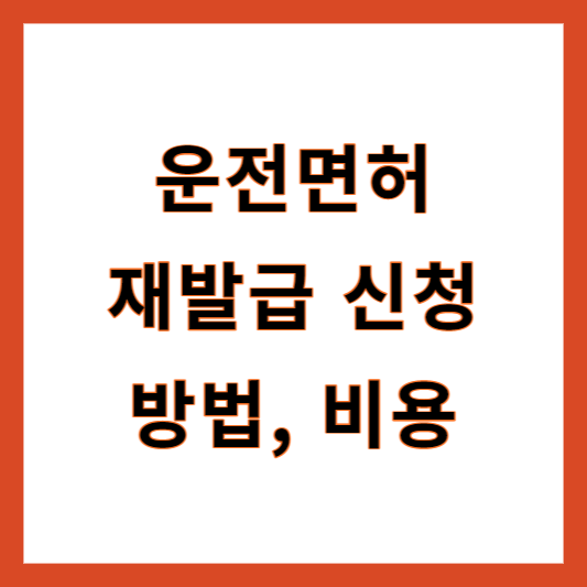 운전면허 재발급