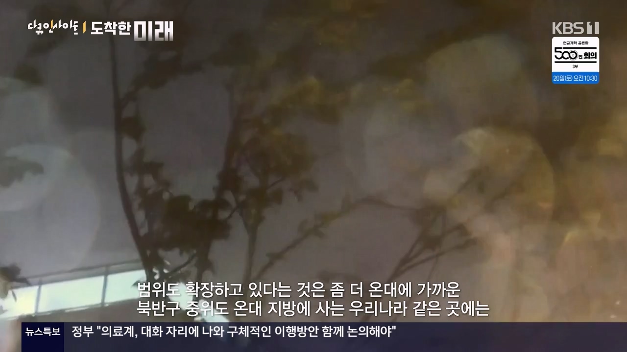 다큐 인사이트.E185.240419p-NEXT.mp4_20240420_161124.335.jpg